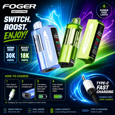 FOGER SWITCH DISPOSABLE VAPE CHARGING GUIDE
