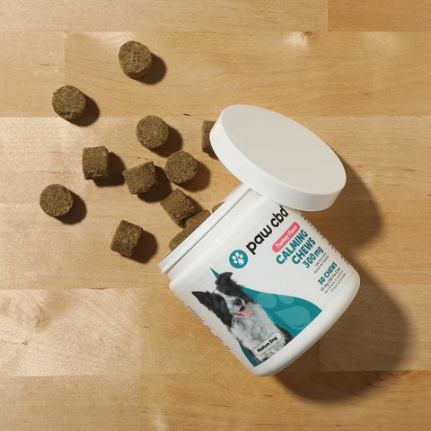 Pet CBD Calming Soft Chews for Dogs